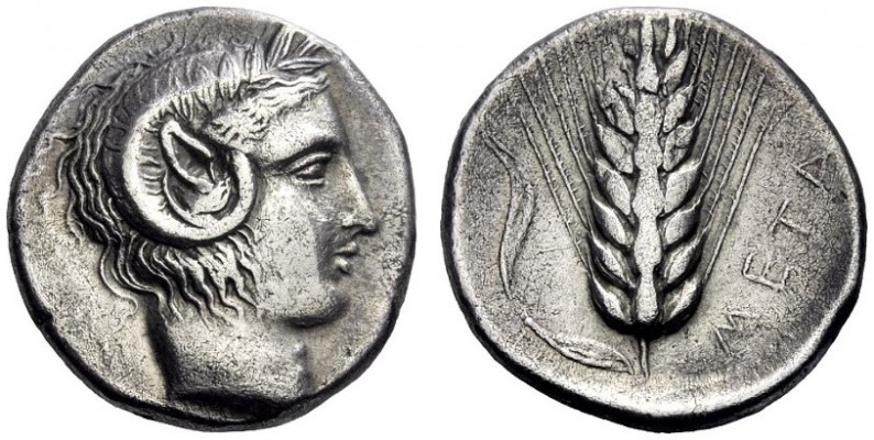  Greek Coins   Metapontum  Nomos circa 430-400, AR 6.18 g. Head of Apollo Carnei...