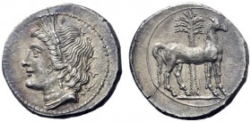  Greek Coins   Bruttium, Locri   The Carthaginians. Half shekel circa 215-205, AR 3.83 g. Head of Tanit-Demeter l., wearing barley wreath. Rev. Horse ...