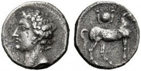  Greek Coins   The Carthaginians in Spain  Didrachm, uncertain mint 235-220, AR 6.92 g. Male head l. Rev. Horse standing r.; above, solar disk. Villar...