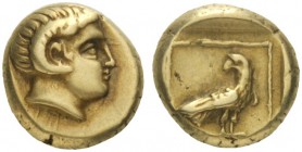  Greek Coins   Lesbos, Mytilene  Hecte circa 377-326, EL 2.55 g. Young male head r., with the horn of Ammon. Rev. Eagle standing r., with closed wings...