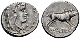  The Roman Republic   M. Volteius M.f. Denarius 78, AR 4.06 g. Head of Hercules r., wearing lion’s skin. Rev. Erymanthian boar r.; in exergue, M·VOLTE...