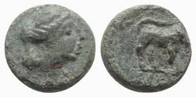 Gaul, Massalia, c. 121-49 BC. Æ (9mm, 1.62g, 6h). Laureate head of Apollo r. R/ Bull butting r. SNG Copenhagen 819-21. Green patina, near VF