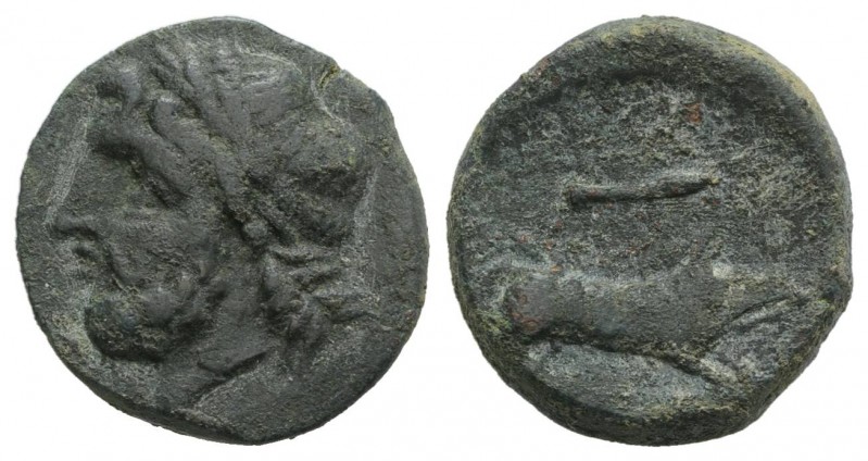 Northern Apulia, Arpi, 3rd century BC. Æ (20mm, 7.36g, 6h). Laureate head of Zeu...