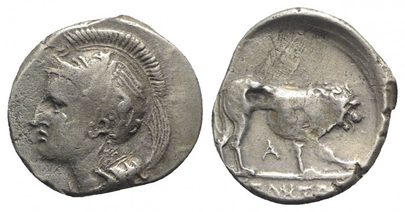 Northern Lucania, Velia, c. 300 BC. AR Didrachm (21mm, 7.45g, 9h). Head of Athen...