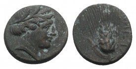 Southern Lucania, Metapontion, c. 300-250 BC. Æ (13mm, 2.92g, 9h). Wreathed head of Demeter r., wearing earring and necklace. R/ Grain ear with leaf t...