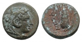 Southern Lucania, Metapontion, c. 300-250 BC. Æ (13mm, 3.22g, 3h). Head of Herakles r., wearing lion's skin headdress. R/ Ear of barley. Johnston Bron...