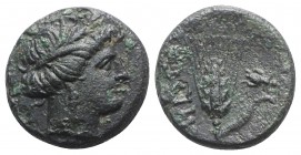 Southern Lucania, Metapontion, c. 300-250 BC. Æ (12mm, 2.36g, 5h). Wreathed head of Demeter r. R/ Grain ear with stem to r.; fly to r. Johnston Bronze...