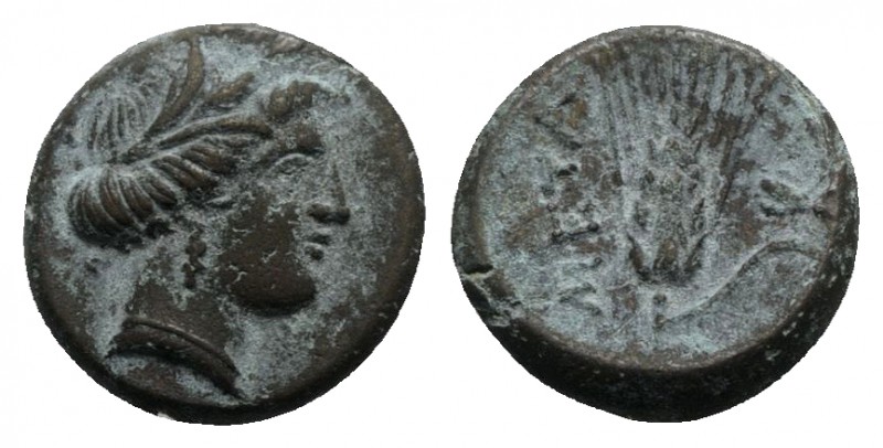 Southern Lucania, Metapontion, c. 300-250 BC. Æ (13mm, 2.98g, 5h). Wreathed head...