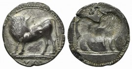 Southern Lucania, Sybaris, c. 550-510 BC. AR Stater (27mm, 6.98g, 12h). Bull standing l. on dotted exergual line, looking back. R/ Incuse bull standin...