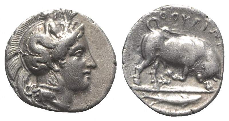 Southern Lucania, Thourioi, c. 400-350 BC. AR Stater (23mm, 7.76g, 3h). Head of ...