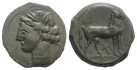 Carthaginian Domain, Sardinia, 264-241 BC. Æ Shekel (22mm, 7.01g, 2h). Wreathed head of Tanit l. R/ Horse standing r.; letter "aleph" below. Piras, 12...