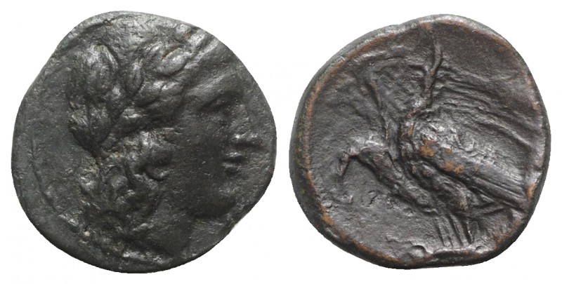 Sicily, Akragas. Phintias (287-279 BC). Æ (19mm, 4.12g, 9h). Laureate head of Ap...