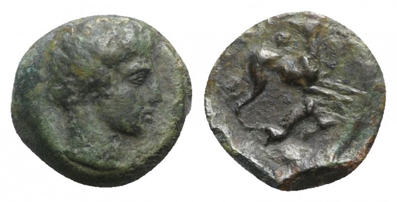 Sicily, Eryx, c. 400-390 BC. Æ Hexas (12mm, 2.49g, 9h). Male head r. R/ Hound ru...