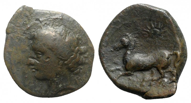 Sicily, Panormos as Ziz, c. 336-330 BC. Æ (22.5mm, 7.85g, 9h). Wreathed head of ...