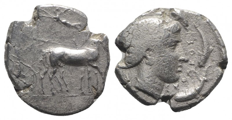 Sicily, Syracuse, c. 430-420 BC. AR Tetradrachm (25.5mm, 16.58g, 5h). Charioteer...