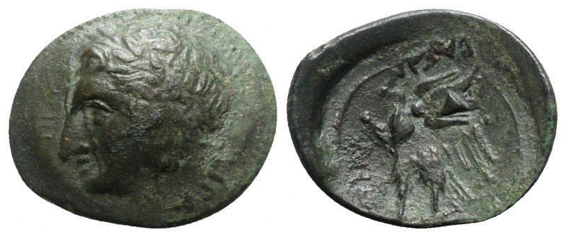 Sicily, Syracuse. Hiketas II (287-278 BC). Æ (27mm, 6.69g, 6h), c. 283-279. Laur...