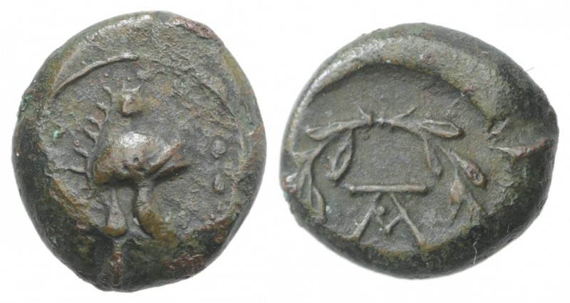 Sicily, Tauromenion, Campanian mercenaries, c. 392-358 BC. Æ (12mm, 2.02g, 9h). ...