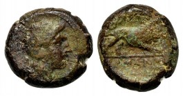 Anonymous, Southern Italy, c. 260 BC. Æ (21mm, 10.25g, 3h). Female head r., with ribbon in hair. R/ Lion r.; ROMANO in exergue. Crawford 16/1a; HNItal...