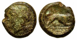 Anonymous, Southern Italy, c. 260 BC. Æ (19mm, 8.80g, 2h). Female head l., with ribbon in hair. R/ Lion r.; ROMANO in exergue. Crawford 16/1b; HNItaly...