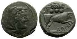 Grain-ear series, Sicily, c. 214 BC. Æ Quadrans (26mm, 14.60g, 12h). Head of Hercules r., wearing lion skin. R/ Bull charging r.; grain ear above, ser...