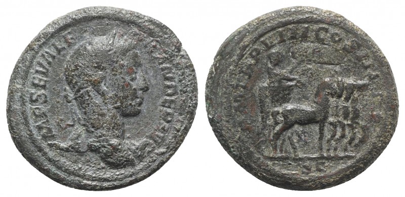 Severus Alexander (222-235). Æ As (28mm, 12.79g, 1h). Rome, AD 229. Laureate hea...