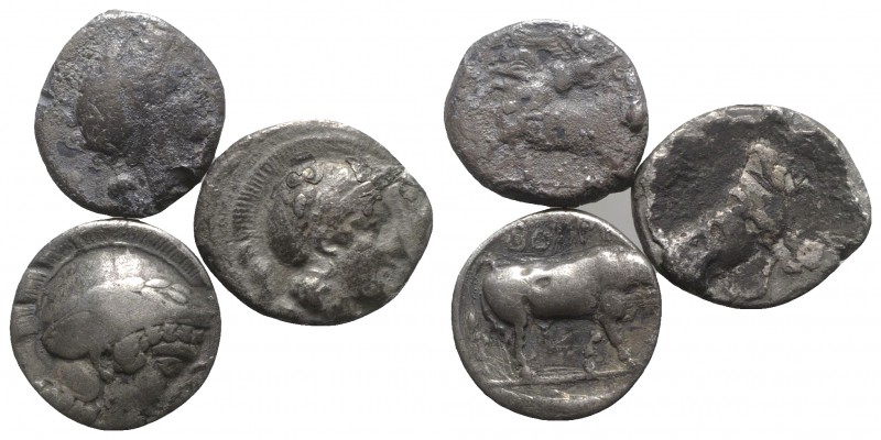 Magna Graecia, lot of 3 Didrachms/Staters, including Neapolis and Kaulonia. Lot ...