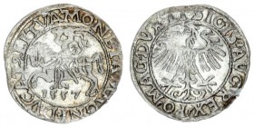 Lithuania 1/2 Grosz 1557 Vilnius. Sigismund II Augustus (1545-1572). Lithuanian coins. 1/2 Grosz 1557. Vilnius. Legend ends LI / LITVA. Cesnulis-Ivana...