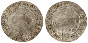 Lithuania 1 Grosz 1559 Vilnius. Sigismund II Augustus (1545-1572) - Lithuanian coins. Vilnius. Ending of inscriptions LIT / LITVA. Cesnulis-Ivanauskas...
