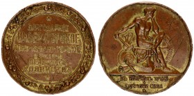 Russia Medal 1900 of the Imperial Don-Kuban-Terek Society of Agriculture. St. Petersburg. beginning of the 20th century Workshop (atelier) of A.F. Zha...