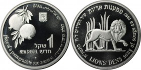 1 New Sheqel 1997 
Weltmünzen und Medaillen, Israel. Wildleben - Löwe. 1 New Sheqel 1997, Silber. 0.43 OZ. KM 306. Stempelglanz