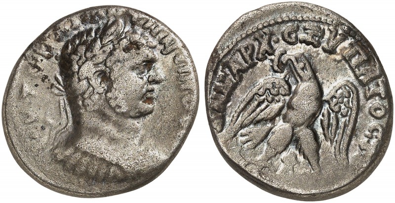 RÖMISCHE PROVINZIALMÜNZEN. PALAESTINA. - Neapolis (Nablus). Caracalla, 211 - 217...