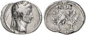 RÖMISCHE MÜNZEN. RÖMISCHE KAISERZEIT. Augustus, 27 v. Chr. - 14 n. Chr. 
Denar, iberische Mzst. Rev. Zwei Lorbeerzweige.
RIC 51; BMC 352 3,72 g unre...