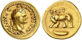 RÖMISCHE MÜNZEN. RÖMISCHE KAISERZEIT. Domitianus Caesar, 69 - 81. 
Aureus. Rev. Wölfin mit Zwillingen, darunter Boot.
RIC 969 Gold 7,22 g ss