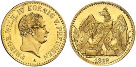 PREUSSEN. Friedrich Wilhelm IV., 1840-1861. 
1/2 Friedrichsd'or 1849 A.
Friedb. 2433, Olding 359, D. S. 166, AKS 65, J. 111, Schlumb. 624 Gold vz