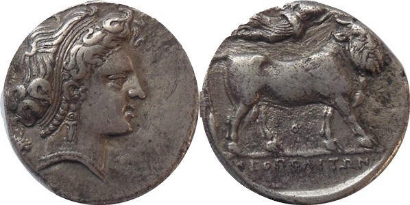 Neapolis 320-300 BC - AR Didrachm
Av: Diameded head of nymph Parthenope to righ...