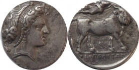 Campania - Neapolis 320-300 BC - AR Didrachm
