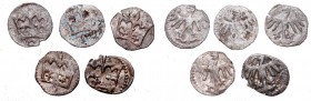 Lot of 5 denarius
Denary jagiellońskie, zestaw 5 egz.
 W pełni czytelne egzemplarze. Patyna, nalot. 

Grade: 3 do 3+ 
 Polen, Poland