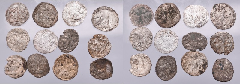 Lot of 12 denarius
Denary jagiellońskie, zestaw 12 egz.
 Czytelne egzemplarze,...