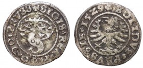Sigismund I the Old, solidus 1529, Thorn
Zygmunt I Stary, Szeląg 1529, Toruń
 W pełni czytelny egzemplarz. Patyna, nalot. 

Grade: VF 
Reference:...