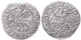 Sigismund II Augustus, Half-groat 1548, Vilnius - LI/LITVA
Zygmunt II August, Półgrosz 1548, Wilno - LI/LITVA
 W pełni czytelny, ładny egzemplarz. O...