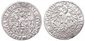Sigismund II Augustus, Half-groat 1550, Vilnius - LI/LITVA
Zygmunt II August, Półgrosz 1550, Wilno - LI/LITVA
 Bardzo ładny, około menniczy egzempla...