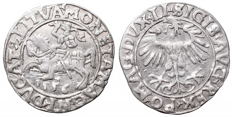 Sigismund II Augustus, Half-groat 1556, Vilnius - LI/LITVA
Zygmunt II August, P...