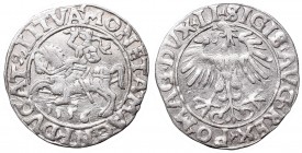 Sigismund II Augustus, Half-groat 1556, Vilnius - LI/LITVA
Zygmunt II August, Półgrosz 1556, Wilno - LI/LITVA
 Bardzo ładnie zachowany egzemplarz. P...