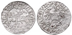 Sigismund II Augustus, Half-groat 1556, Vilnius - L/LITVA
Zygmunt II August, Półgrosz 1556, Wilno - L/LITVA
 Wyśmienity egzemplarz. Ładny połysk men...