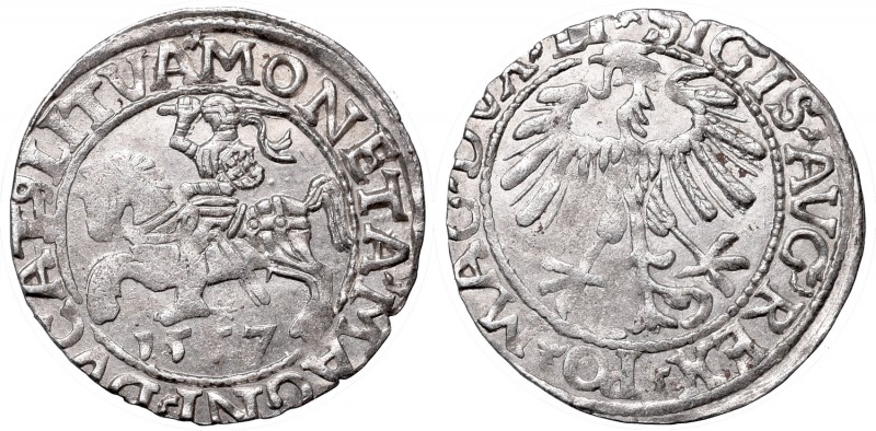 Sigismund II Augustus, Half-groat 1557, Vilnius - LI/LITVA
Zygmunt II August, P...