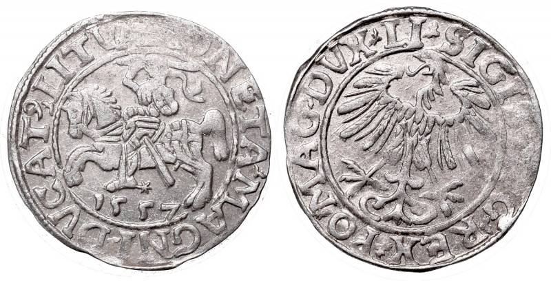 Sigismund II Augustus, Half-groat 1557, Vilnius - LI/LITVA
Zygmunt II August, P...