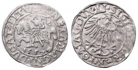 Sigismund II Augustus, Half-groat 1557, Vilnius - LI/LITVA
Zygmunt II August, Półgrosz 1557, Wilno - LI/LITVA
 Bardzo ładny egzemplarz, delikatne ni...