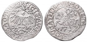 Sigismund II Augustus, Half-groat 1557, Vilnius - LI/LITVA
Zygmunt II August, Półgrosz 1557, Wilno - LI/LITVA
 Ładnie zachowany egzemplarz. Odmiana ...