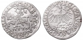 Sigismund II Augustus, Half-groat 1557, Vilnius - LI/LITVA
Zygmunt II August, Półgrosz 1557, Wilno - LI/LITVA
 Bardzo ładnie zachowany egzemplarz. O...