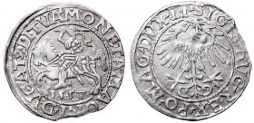 Sigismund II Augustus, Half-groat 1557, Vilnius - LI/LITVA
Zygmunt II August, Półgrosz 1557, Wilno - LI/LITVA
 Bardzo ładnie zachowany egzemplarz. P...